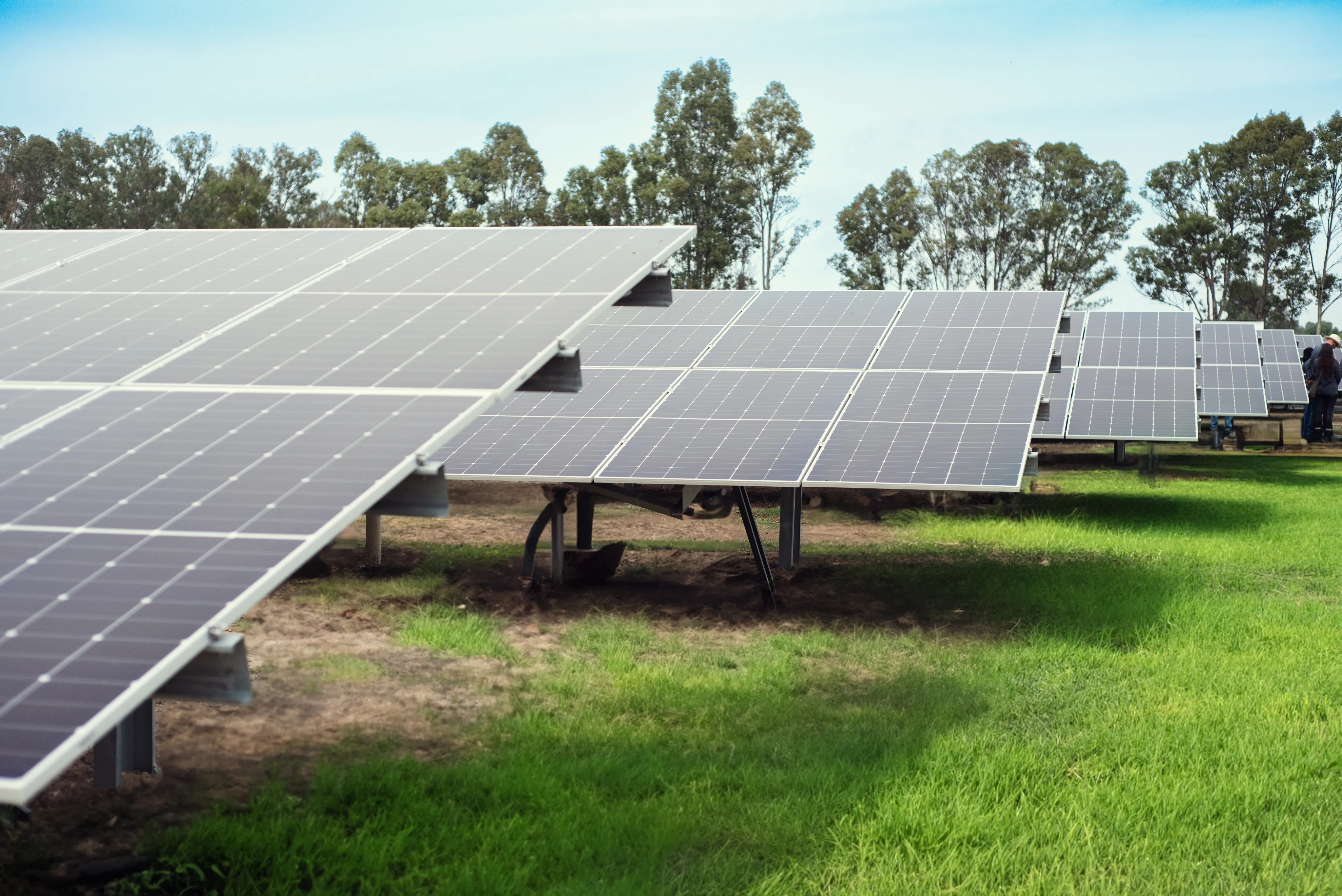 Paneles solares en campo